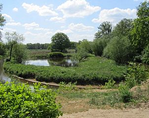 Prachtig uitzicht op de rivier nabij vakantiehuis in Schipborg, Noord Drenthe, met weelderige vegetatie.