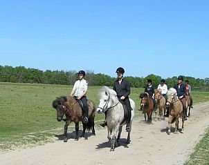Groep ruiters verkent het landschap nabij vakantiehuis in Schipborg, Noord Drenthe.