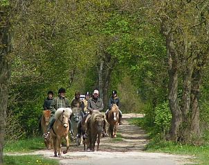 Paardrijden door bosgebied nabij vakantiehuis in Schipborg, Noord Drenthe, voor avontuurlijke rit.