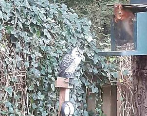 Overdekt terras met zitgedeelte bij vakantiehuisje in Schipborg, Noord Drenthe.