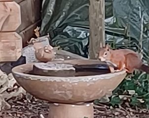 Verblijf 181213 - Vakantiewoning Noord Drenthe - Vakantiehuisje in Schipborg