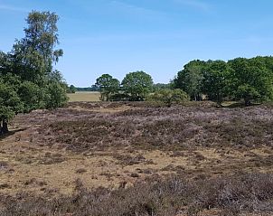 Verblijf 181213 - Vakantiewoning Noord Drenthe - Vakantiehuisje in Schipborg