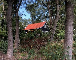 Vakantiehuisje in Schipborg, Noord Drenthe, verscholen tussen hoge bomen in een bosrijke omgeving.