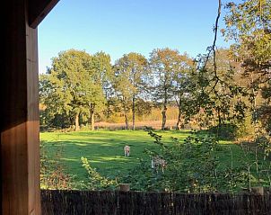 Uitzicht op weiland vanuit Vakantiehuisje in Schipborg, Noord Drenthe, met grazende dieren.
