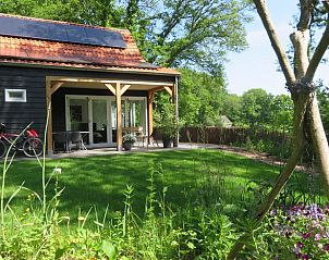Tuin van Vakantiehuisje in Schipborg, Noord Drenthe, met bloeiende bloemen en een fiets.