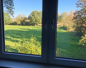 Uitzicht vanuit raam van Vakantiehuisje in Schipborg, Noord Drenthe, op groene velden en bomen.