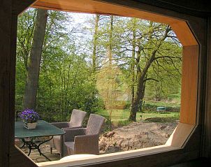 IJsvogels bij de waterkant nabij DG575 vakantiehuis in Schipborg, Drenthe.