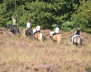 Paardrijden door de heide nabij DG575 vakantiewoning in Schipborg, Drenthe.