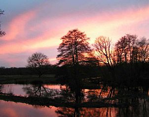 Uitzicht vanuit DG575 vakantiewoning in Schipborg, Drenthe op terras en natuur.