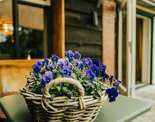 Bloemenmand op het terras van Vakantiehuisje in Nieuwediep, Noord Drenthe, Drenthe voor een sfeervol welkom.
