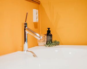 Stijlvolle wastafel in Vakantiehuisje in Nieuwediep, Noord Drenthe, Drenthe met oranje wand en moderne accessoires.