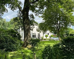 Huisje in Tynaarlo, Noord Drenthe, gelegen in een bosrijke omgeving met veel groen.