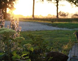 Bloeiende tuin bij Vakantiehuis in Tynaarlo, Noord Drenthe, in de ochtendzon.