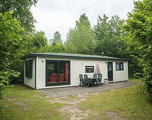 Het Land van Bartje, 4-persoons stacaravan in Ees, Noord Drenthe, met terras en groene omgeving.