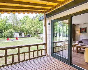 Unterkunft 182971 - Ferienhaus Noord Drenthe - Het Land van Bartje | 4-persoons peuterstacaravan | 4BCK