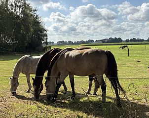 Unterkunft 183231 - Ferienhaus Noord Drenthe - DG2149