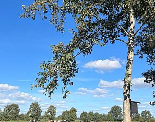 Unterkunft 183301 - Ferienhaus Noord Drenthe - Huisje in Lieveren