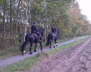 Paardrijden in de natuur rondom Huisje in Roderesch, Noord Drenthe, Drenthe.