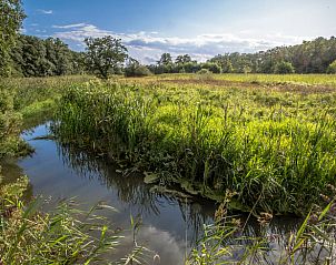 Prachtige natuur in de omgeving van Vakantiehuis in Zeegse, Drenthe met groene velden.