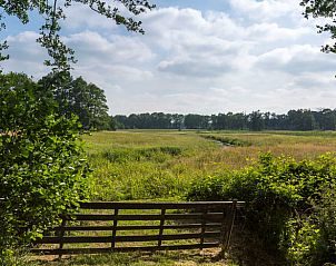 Uitzicht op weilanden rondom Vakantiehuis in Zeegse, Drenthe met rustgevende natuur.