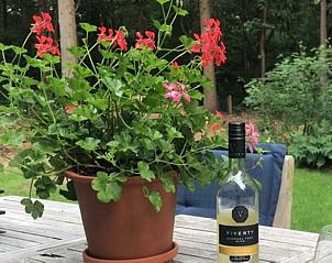 Buitenleven bij Huisje in Zeegse, vakantiehuis in Drenthe, met bloemen en wijn op het terras.