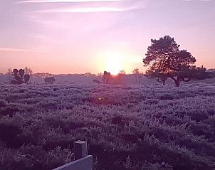 Magische zonsopgang over de heide bij Vakantiehuisje in Zeegse, Drenthe, een serene start van de dag.