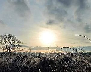 Sfeervolle ochtendmist over de velden bij Vakantiehuisje in Zeegse, Noord Drenthe, een vredig uitzicht.