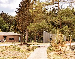 Huisje in Zeegse, een vakantiehuis in Noord Drenthe, omringd door groene natuur en rustgevende bossen.