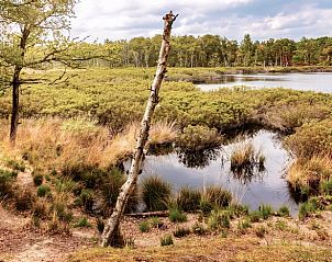 Prachtig uitzicht op de natuur nabij Huisje in Zeegse, vakantiehuis in Zeegse, Noord Drenthe.