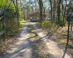 Toegangspad naar Vakantiehuisje in Steenbergen, verscholen in de bossen van Noord Drenthe, Drenthe.