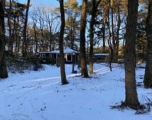 Verblijf 183903 - Vakantiewoning Noord Drenthe - Huisje in Steenbergen
