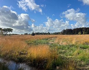Uitgestrekte velden rond Vakantiehuis in Veenhuizen, geniet van de natuur in Noord Drenthe.