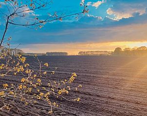 Prachtig uitzicht op velden bij zonsondergang vanuit Vakantiehuis in Veenhuizen, Noord Drenthe.