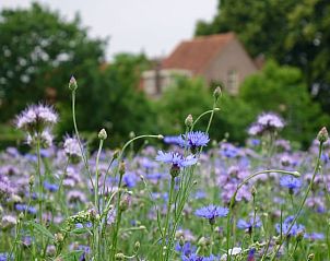 Verblijf 184112 - Vakantiewoning Noord Drenthe - Huisje in Veenhuizen