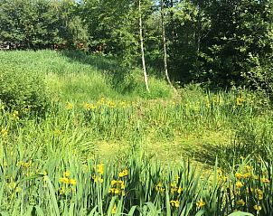 Prachtige tuin bij Huisje in Zuidlaarderveen, natuurrijk vakantiehuis in Noord Drenthe, Drenthe.