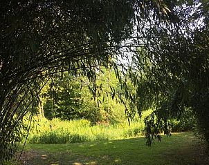 Schaduwrijke tuin bij Huisje in Zuidlaarderveen, rustgevend verblijf in Noord Drenthe, Drenthe.
