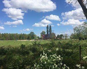 Uitzicht op de omgeving van Huisje in Zuidlaarderveen, vakantiehuis in Noord Drenthe met weidse velden.