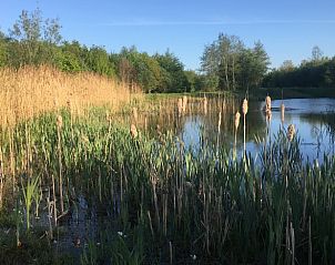 Prachtig meer nabij Huisje in Zuidlaarderveen, vakantiehuis in Noord Drenthe voor natuurliefhebbers.