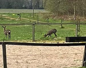 Moderne keuken in Huisje in Zuidlaarderveen, vakantiehuis in Noord Drenthe met alle voorzieningen.