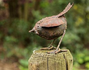 Ontspan met huiselijke gezelligheid in Vakantiehuis in Drouwen, Noord Drenthe, omringd door natuur en dieren voor een unieke ervaring.