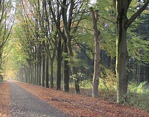 Verblijf 184401 - Vakantiewoning Noord Drenthe - Vakantiehuis in Drouwen