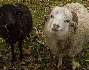 Verblijf 184401 - Vakantiewoning Noord Drenthe - Vakantiehuis in Drouwen