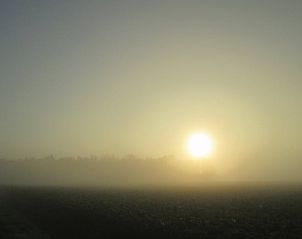 Verblijf 184401 - Vakantiewoning Noord Drenthe - Vakantiehuis in Drouwen