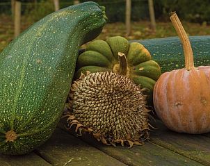 Verblijf 184401 - Vakantiewoning Noord Drenthe - Vakantiehuis in Drouwen