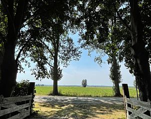 Prachtig uitzicht vanaf Huisje in Buinerveen, vakantiehuis in Drenthe, met groene velden en hoge bomen.
