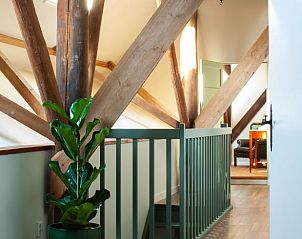 Lichte gang met planten in Huisje in Buinerveen, vakantiehuis in Noord Drenthe, met zichtbare houten constructie.