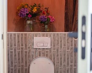 Stijlvol toilet met bloemen in Huisje in Buinerveen, vakantiehuis in Drenthe, biedt een frisse uitstraling.