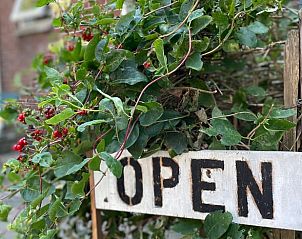 Buitenruimte met open bord bij Huisje in Buinerveen, vakantiehuis in Drenthe, omringd door groen.