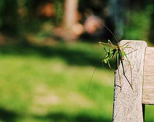 Praktische wasruimte in DG357 vakantiehuis in Meppen, Drenthe met wasmachine en droger.
