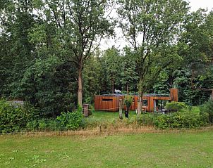 Twee hangmatten in de tuin van DG357 vakantiehuis in Meppen, Drenthe voor ultieme rust.